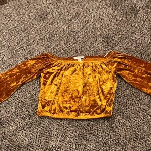Gold velvet crop top